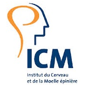 ICM